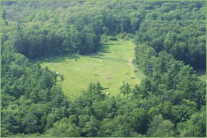 Novice and Training XC Schooling Area